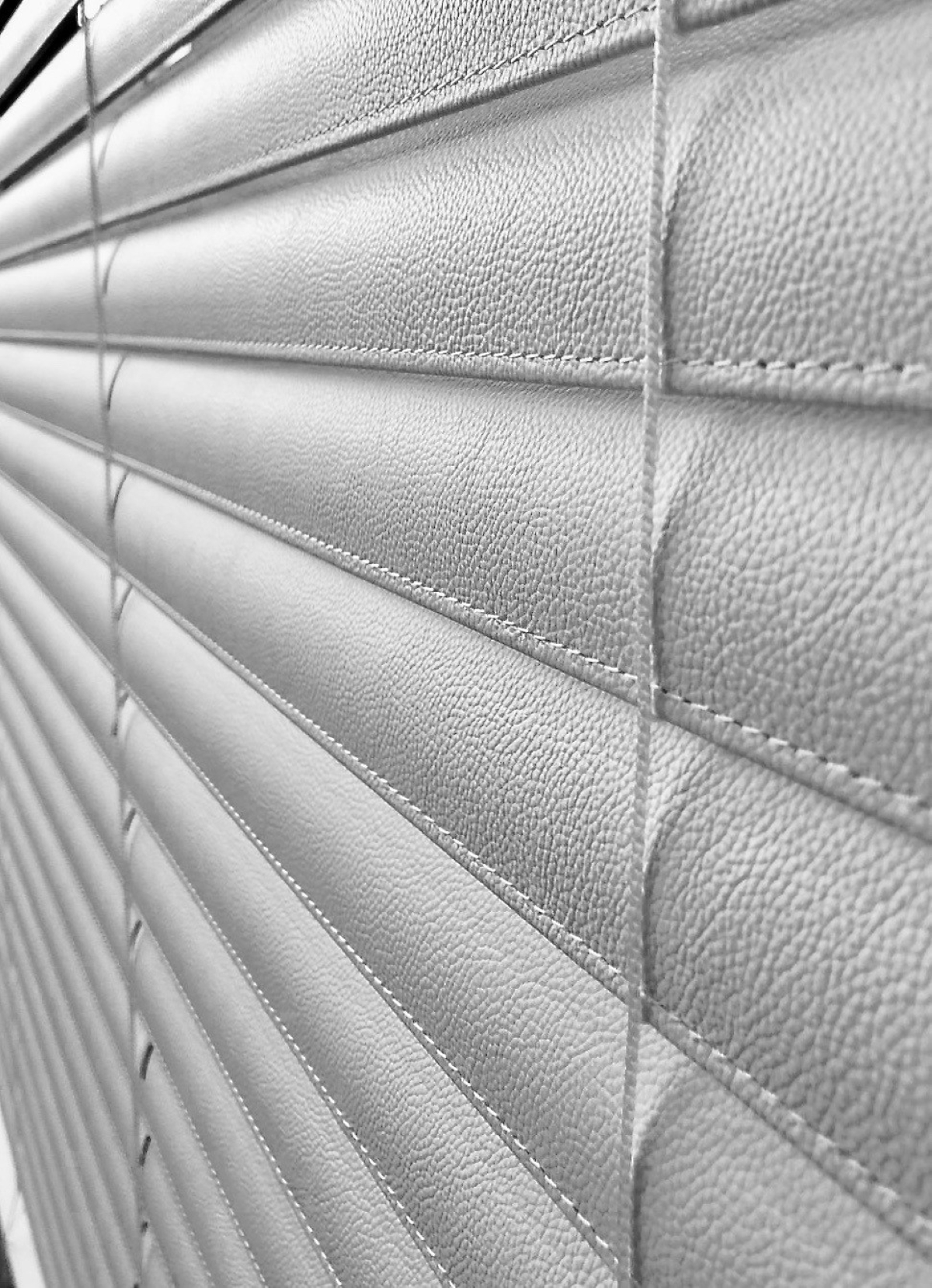 Blinds Leather Premium